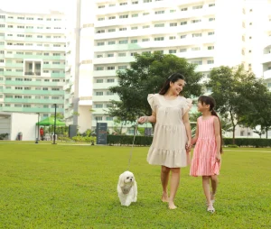 amenities-great-lawn-scaled